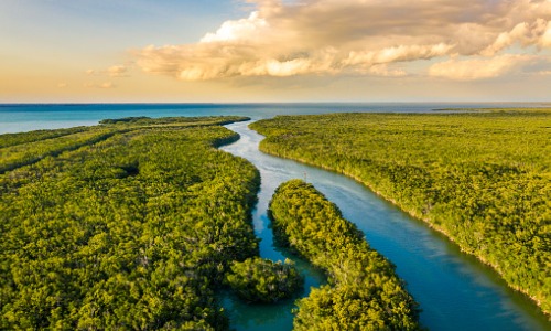 "Estuary in the Everglades at sunset"