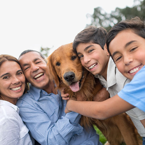 Alaskan Judges Now Assess Well-Being of Family Pets in ...