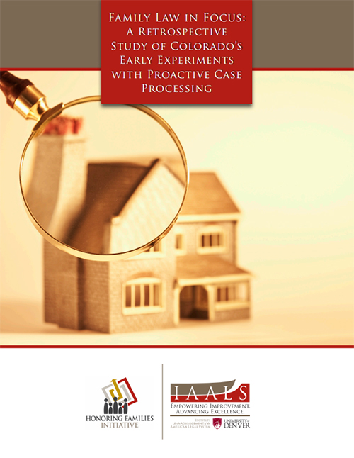 Family Law in Focus
