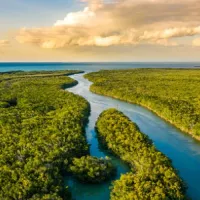 Estuary in the Everglades at sunset