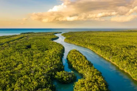 Estuary in the Everglades at sunset